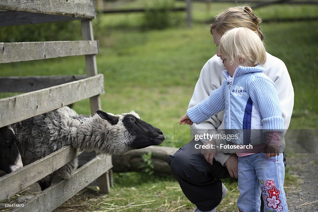 Family, animals, experience, discover, child, farm, animal