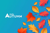 Autumn seasonal background with border frame with falling autumn golden, red and orange colored leaves on blue background, place for text