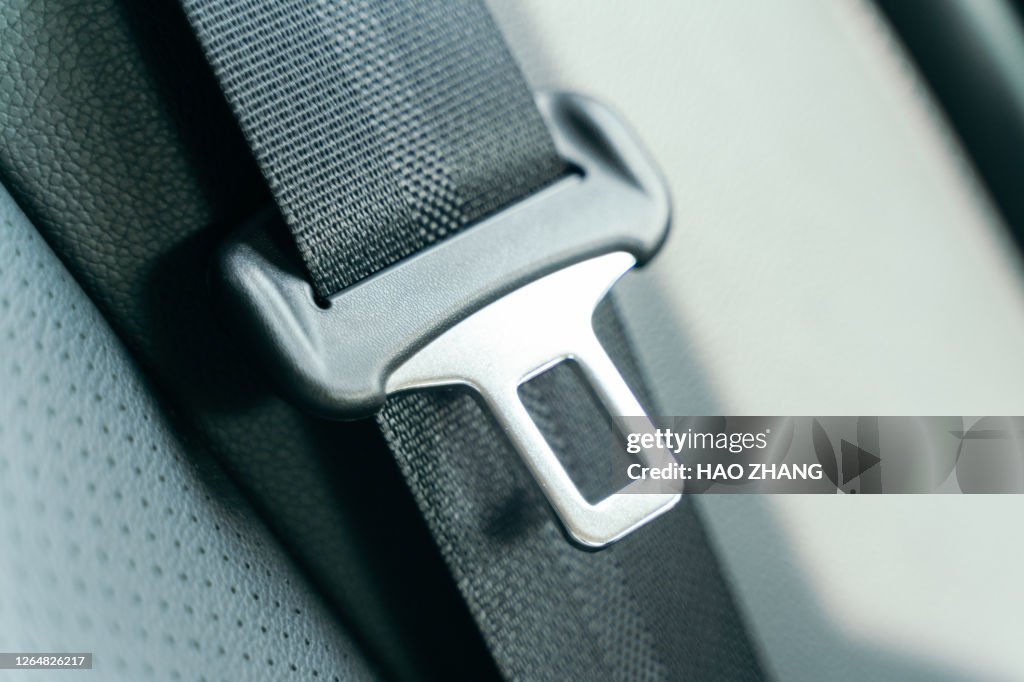 Seatbelt