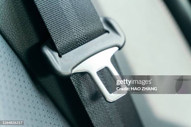 seatbelt - seat belt stock pictures, royalty-free photos & images