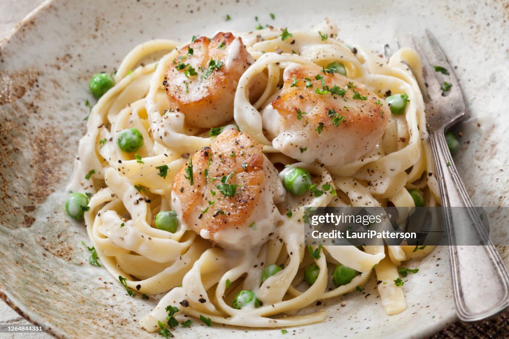 Seared Sea Scallops with Creamy Fettuccine Alfredo