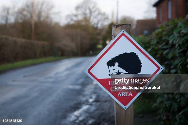 a public road sign warning of hedgehog crossing in the uk - hedgehog stock pictures, royalty-free photos & images