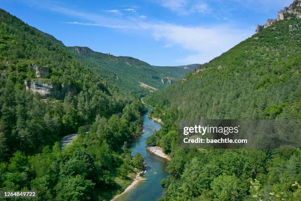 tarnschlucht frankreich - cevennes stock pictures, royalty-free photos & images