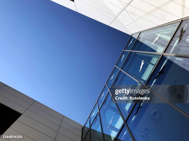 entrance to modern corporate building with anti-collision stickers to prevent bird strikes on window glass against clear blue sky - office cross section stock pictures, royalty-free photos & images