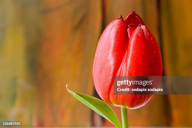 , Foto stock