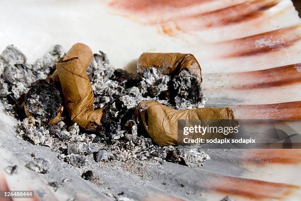 - - cigarrillo stock pictures, royalty-free photos & images