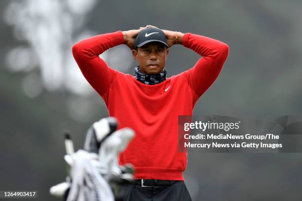 374 Patience Harding Stock Photos, High-Res Pictures, and Images ...