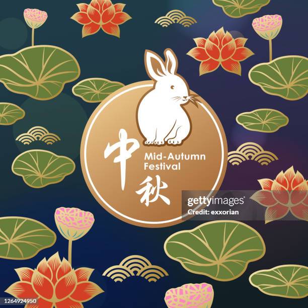 stockillustraties, clipart, cartoons en iconen met mid autumn festival lotus blooming - bloembed