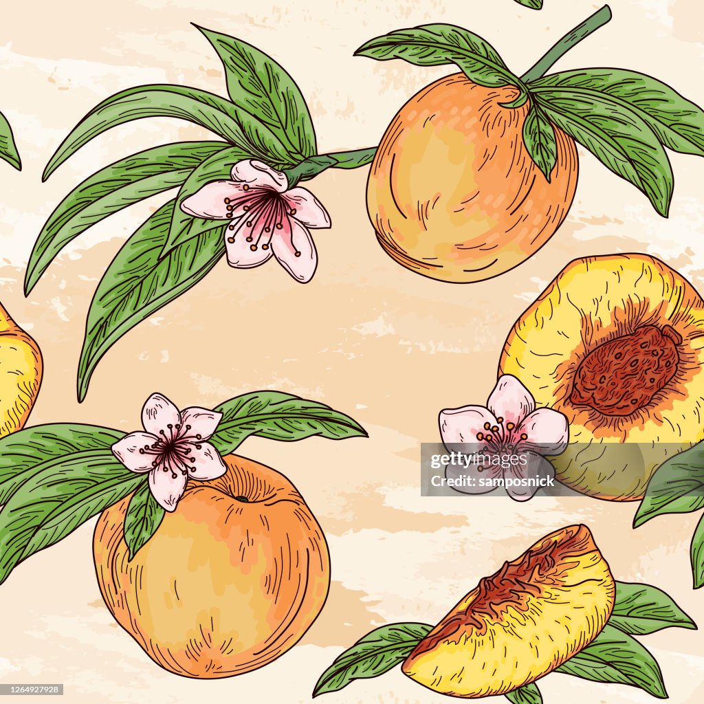 Vintage Peach Fruit Tree Blossom Seamless Pattern