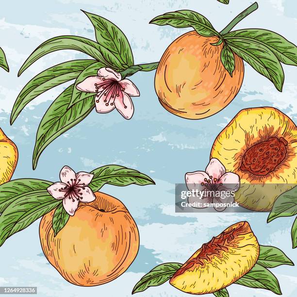 vintage peach fruit tree blossom seamless pattern - peach tree stock illustrations