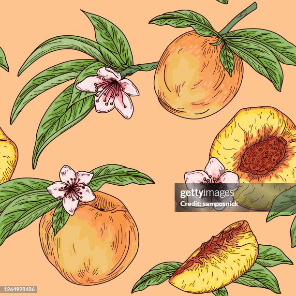vintage pfirsich obst baum blüte nahtlose muster - pfirsichbaum stock-grafiken, -clipart, -cartoons und -symbole