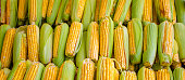 Corn cobs grouped on fair stall