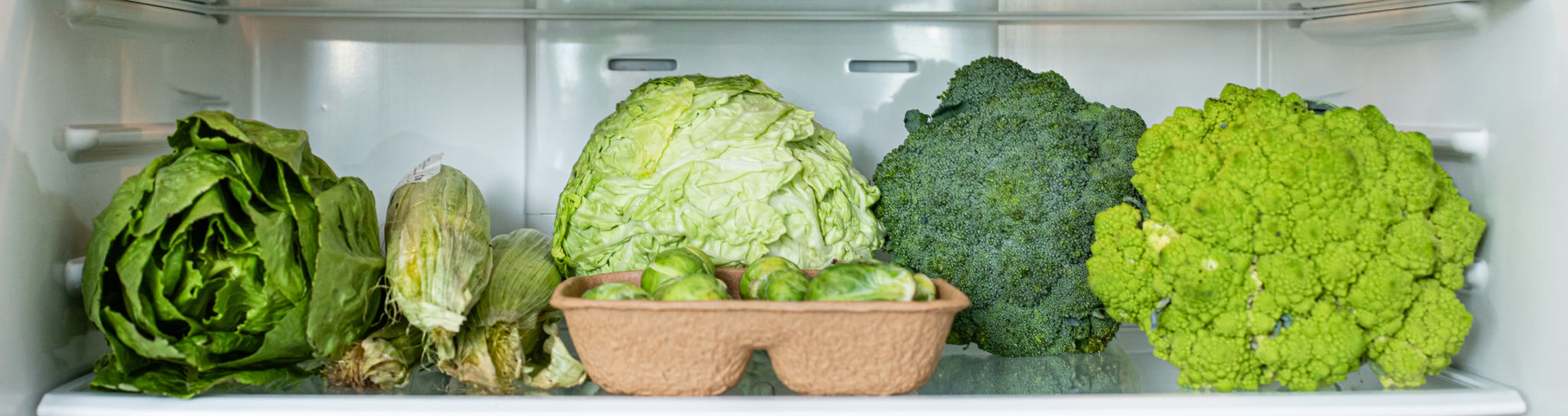 refrigerantes ecologicos