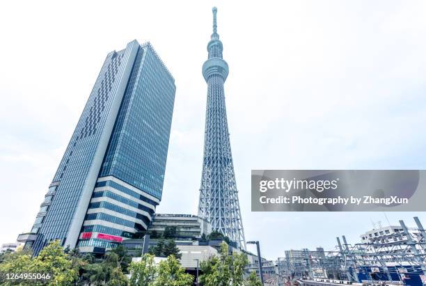 tokyo sky tree at day time, oshiage area, tokyo, japan. - tokyo skytree - fotografias e filmes do acervo