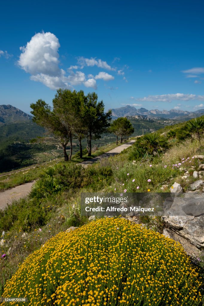 Small paved mountain road used by cyclists.