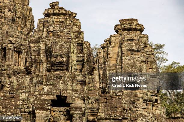 inside ta prohm temple in cambodia - godsdienstige gebouwen stockfoto's en -beelden