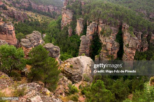 barranco de la hoz in the alto tajo natural park, guadalajara, spain. - sickle stock pictures, royalty-free photos & images