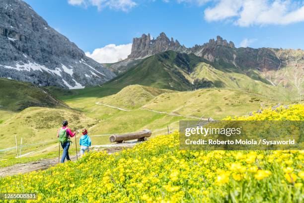 little boy with mother walking on path, dolomites, italy - trentino stock pictures, royalty-free photos & images