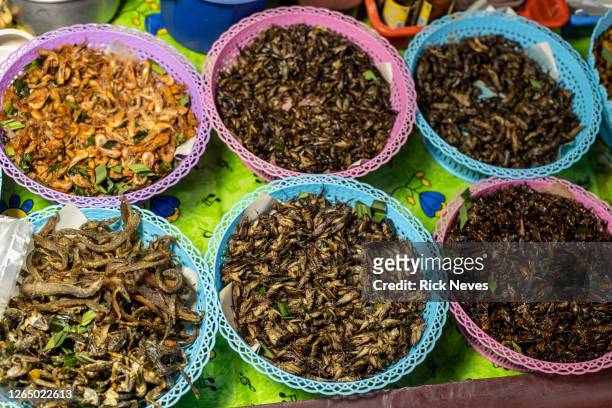 bowls with fried insects food in koh lhan island in thailand - cricket insect 個照片及圖片檔