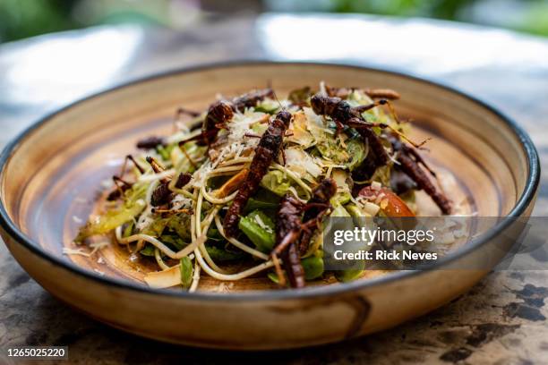 exotic salad prepared with crickets - saltamontes fotografías e imágenes de stock