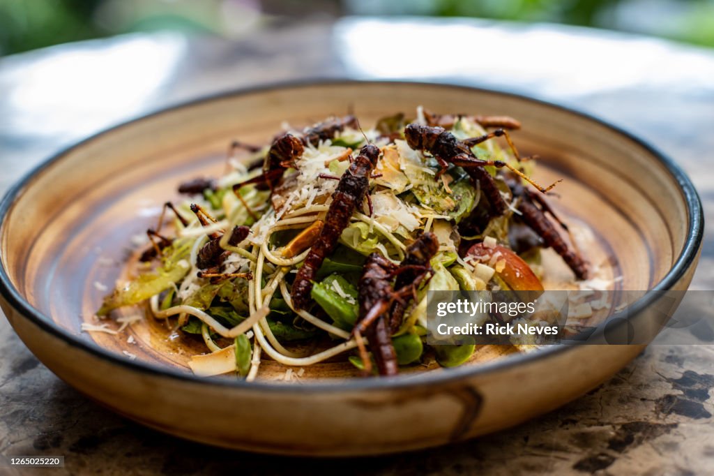 Exotic salad prepared with crickets