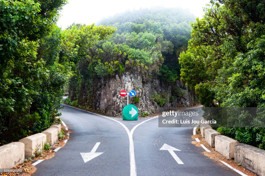 Dividing road with arrow signs