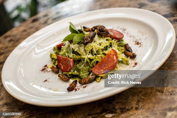 green spaguetti dish with insects and salami - inseto stock pictures, royalty-free photos & images