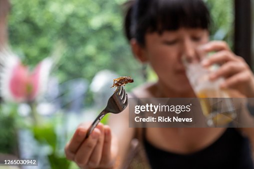 Woman with fork going to eat fried insect Woman with fork going to eat fried insect