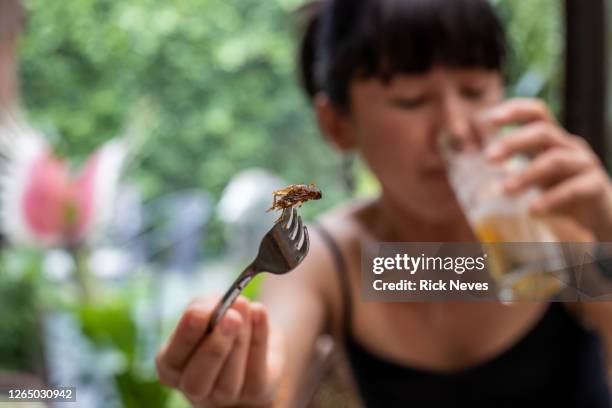 woman with fork going to eat fried insect - insecto fotografías e imágenes de stock