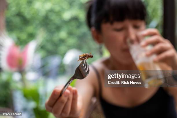 woman with fork going to eat fried insect - insect stockfoto's en -beelden