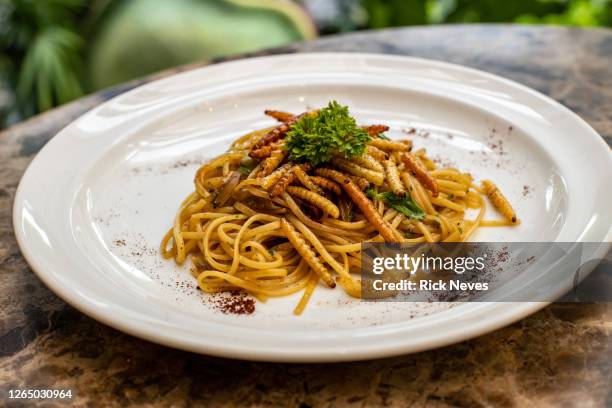 spaghetti dish prepared with larvae - inseto stock pictures, royalty-free photos & images