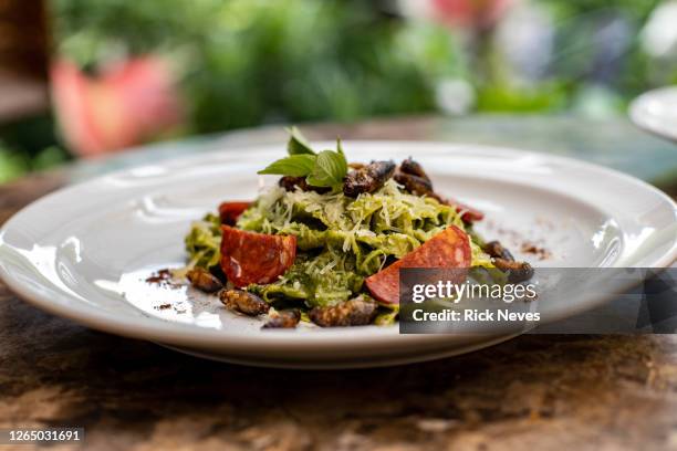 green spaguetti dish with insects and salami - inseto stock pictures, royalty-free photos & images