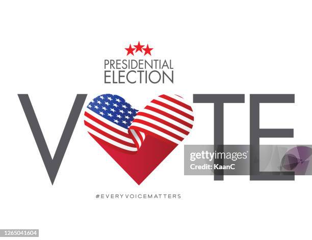 united states of america presidential election 2020. vector stock illustration - american flag pin stock illustrations