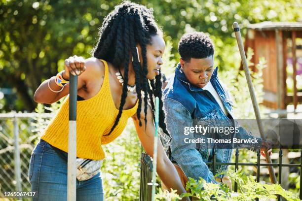 women working together in community garden - african farming tools stock pictures, royalty-free photos & images