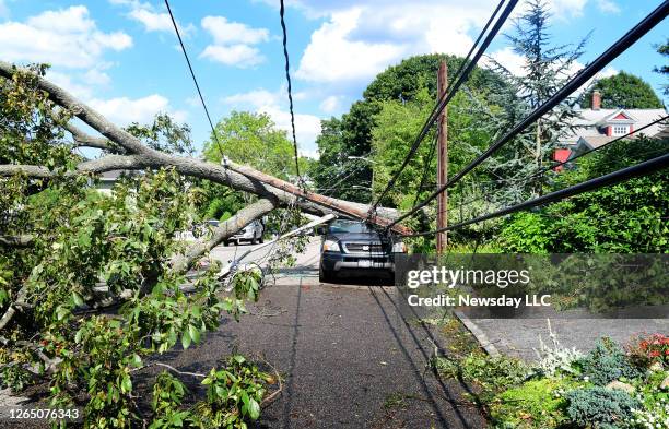 Fallen tree snapped a utility pole, took down wires, and crushed a car on Grandview Street in Huntington, New York on August 5, 2020. Tropical Storm...