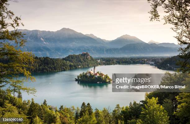 lake bled with the island blejski otok with st. mary's church, behind it karawanken, bled, slovenia - lake bled stock pictures, royalty-free photos & images