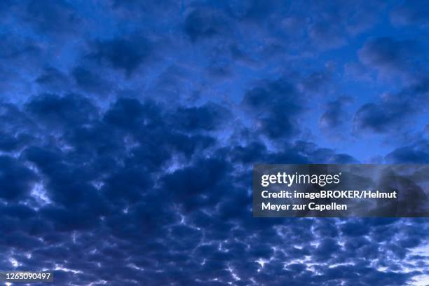 evening sky with large fleecy clouds (altocumulus), bavaria, germany - cirrocúmulo fotografías e imágenes de stock