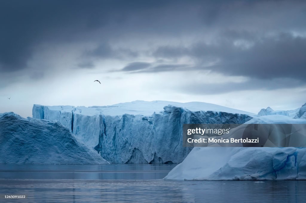 Icebergs in the Ilulissat Icefjord