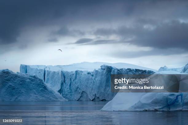icebergs in the ilulissat icefjord - artic stockfoto's en -beelden