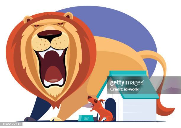 roaring lion meeting angry dog - lion expression stock illustrations