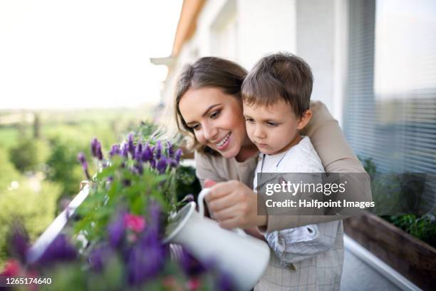 happy young woman with small son watering flowers on balcony, urban garden concept. - watering plants stock-fotos und bilder