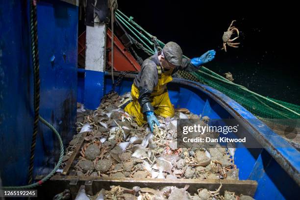 Skipper Stuart Hamilton, works through a catch while fishing for flatfish such as Skate and Dover Sole in the English Channel from a Hastings fishing...