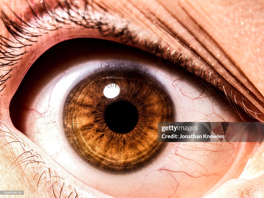 Close up brown eye