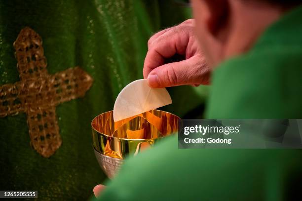 Pope Francis celebrates a closing mass at the end of the Synod of Bishops in St Peter's Basilica at the Vatican.