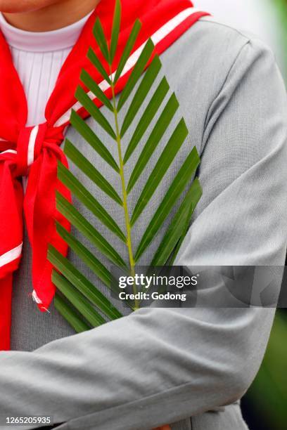 Palm sunday mass. The palm branch is associated with Jesus' Triumphal Entry. Hoi An Cathedral. Vietnam.