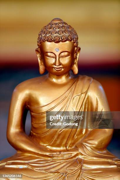 Golden Buddha statue. Hoi An. Vietnam.