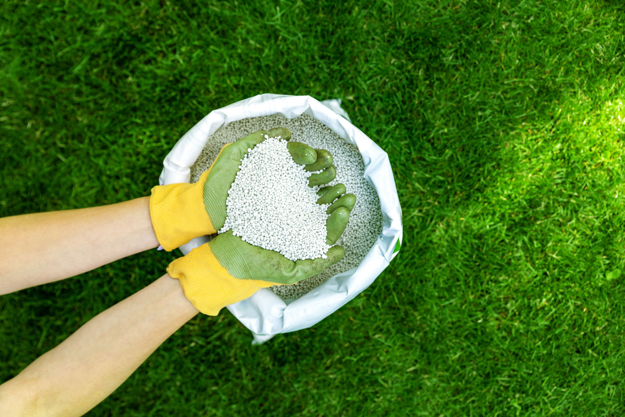 Lawn fertilizer