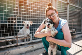 Young woman in animal shelter