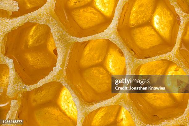 close up honeycomb - vergrößerung stock-fotos und bilder