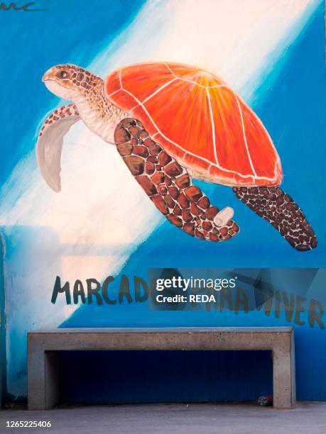 Marine turtle. Mural. Town Ponta do Sol. Island Santo Antao. Cape Verde in the equatorial atlantic. April.